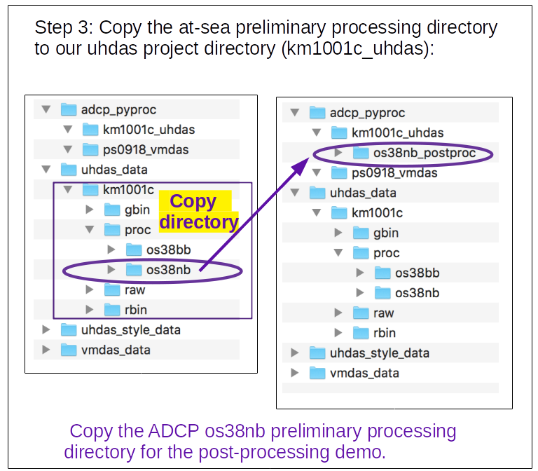 copy preliminary processing directory to project directoru