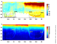scattering migration bias